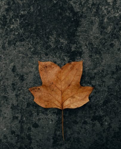 clay-banks-qcse15im24I-unsplash clay-banks-qcse15im24I-unsplash